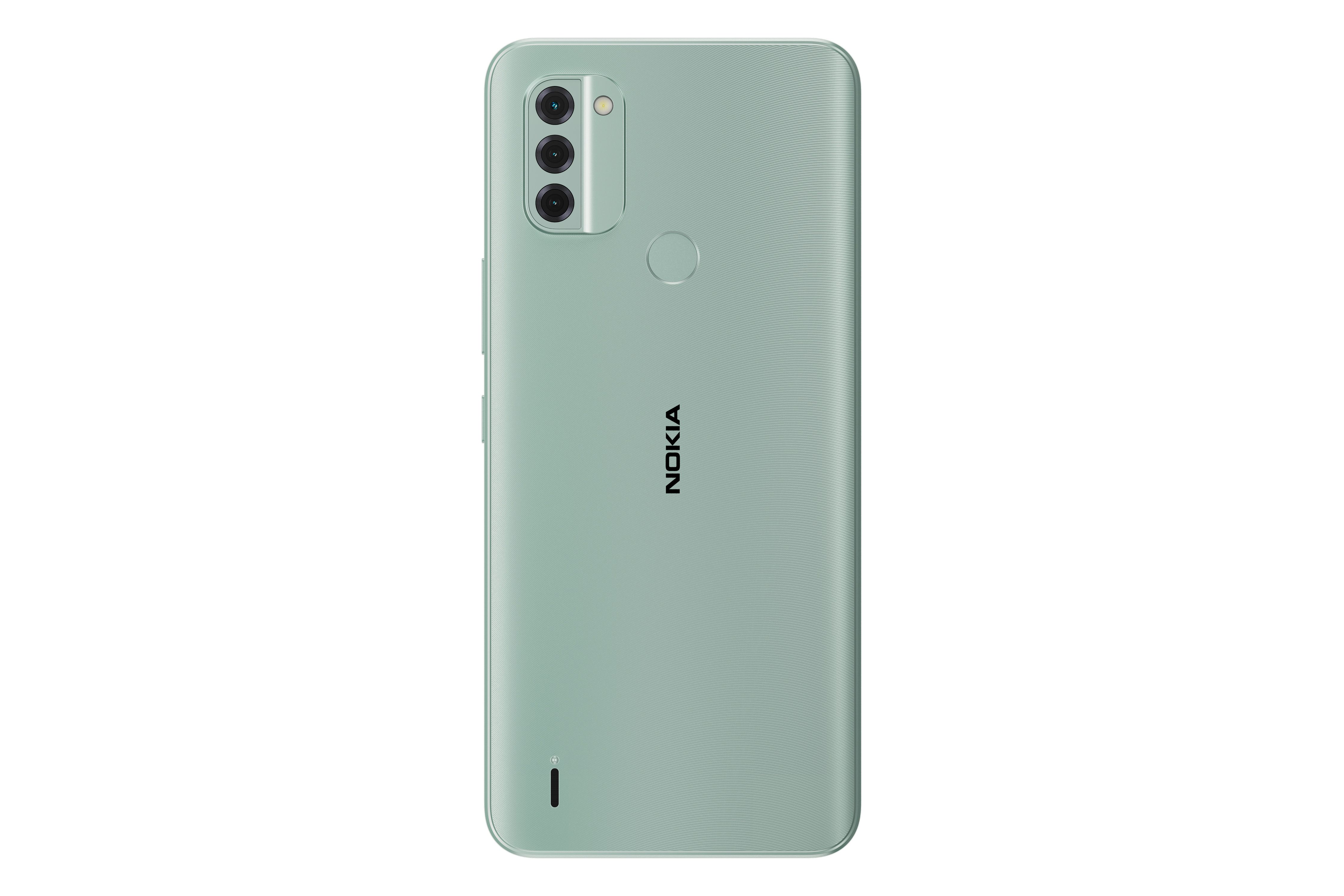 قیمت گوشی نوکیا C31 | Nokia C31 + مشخصات