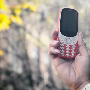 گوشی موبایل ارد مدل 3310 دو سیم کارت - نیکی کالا