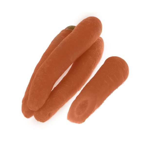 هویج بلوط 1 کیلوگرم - باماخرید