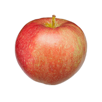 خرید سیب قرمز مراغه (لبنانی) | میوه پلاس