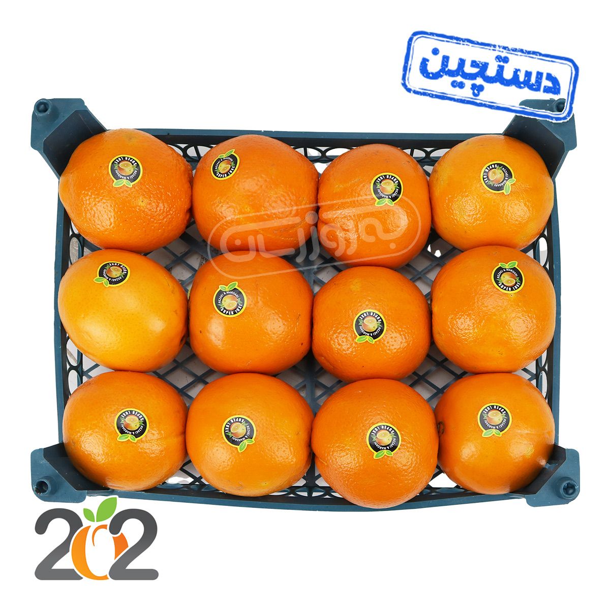 پرتقال تامسون شمال دستچین سبدی برند 202 حدود 2.5 تا 3.5 کیلوگرم ( قیمت ،خرید آنلاین ) - بازار آنلاین به‌روز مارت