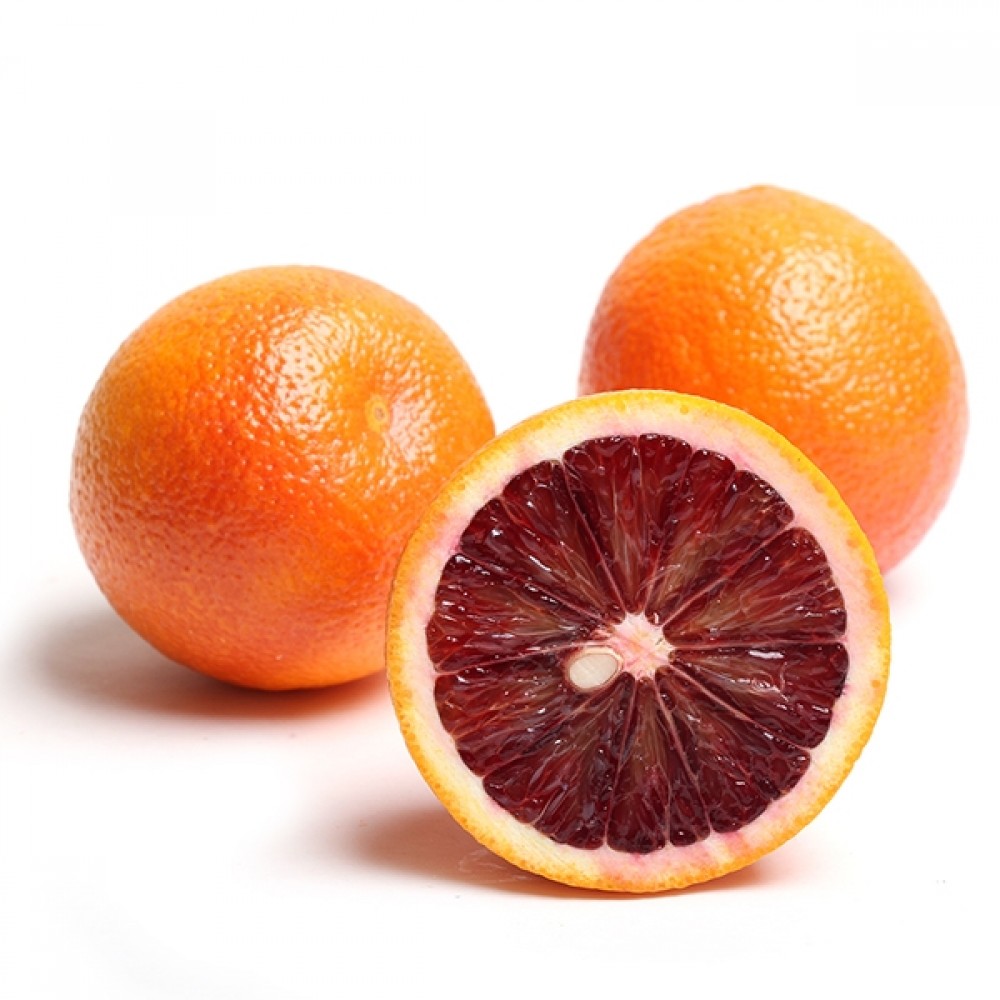 نهال پرتقال خونی تاراکو | بازار قرمز