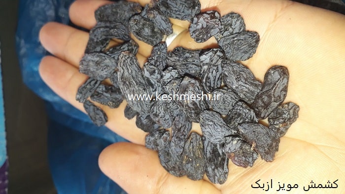 قیمت عمده انواع کشمش مویز ازبک - کشمش آراد