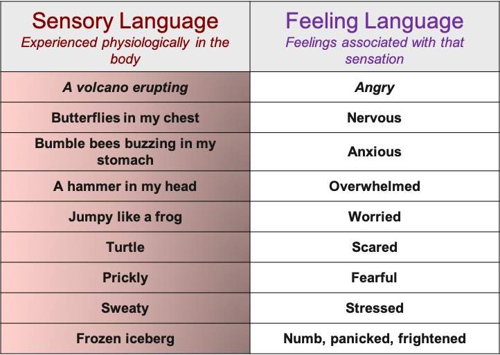 sensory language and feeling language ...