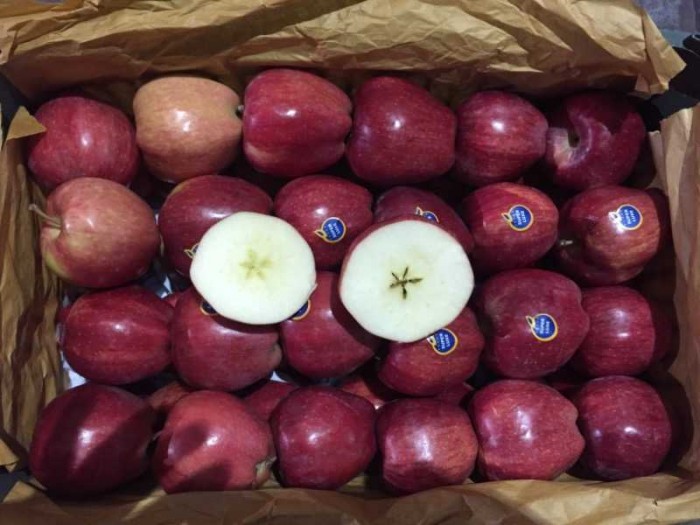 خرید و قیمت سیب سیب درختی قرمز مراغه عمده مراغه آذربایجان شرقی مهران جعفری| باسکول
