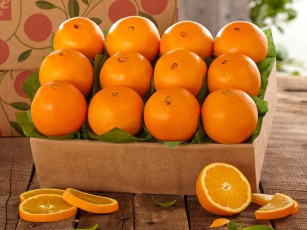 قیمت خرید پرتقال تامسون در بازار مازندران