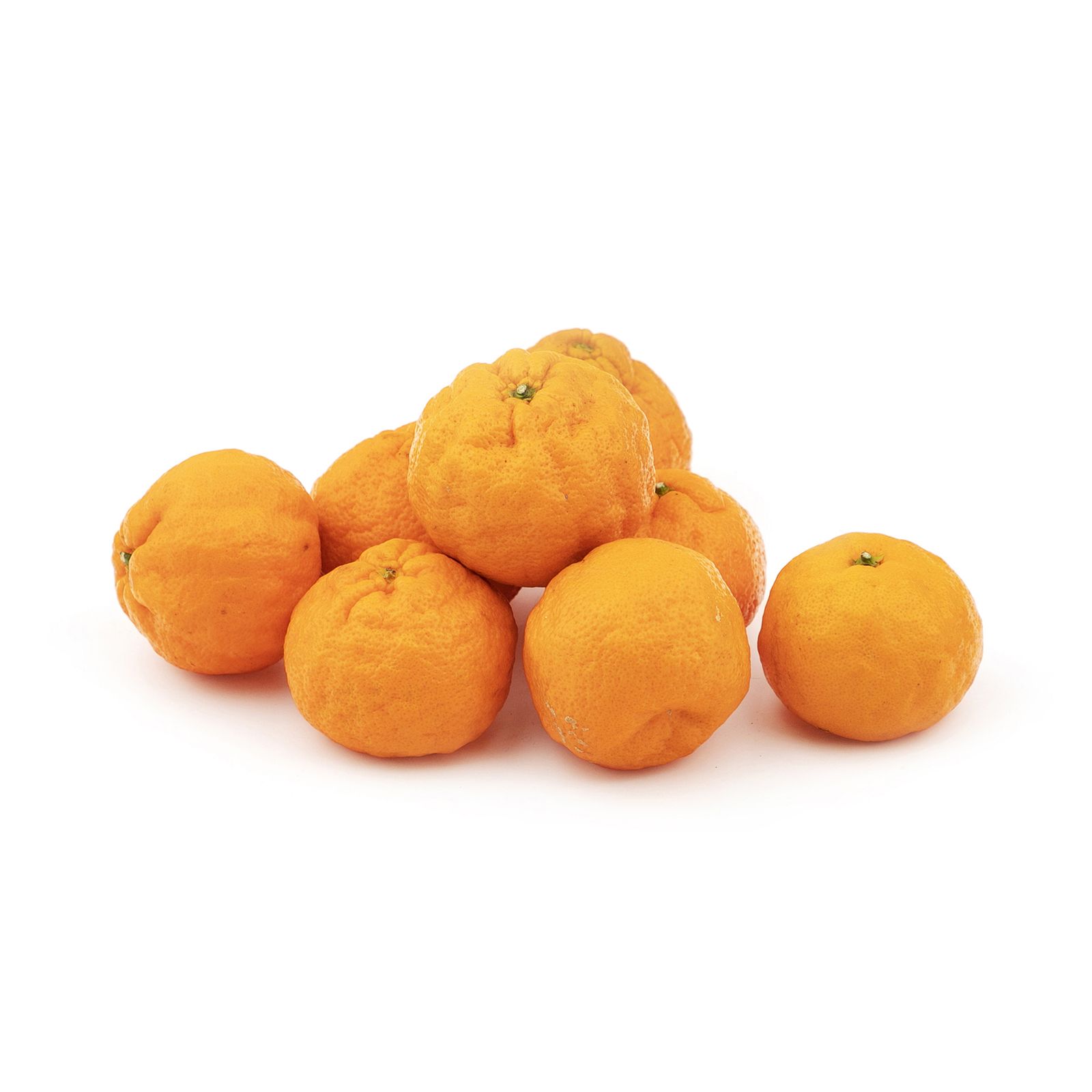 قیمت و خرید نارنگی ژاپنی Fresh وزن 1 کیلوگرم
