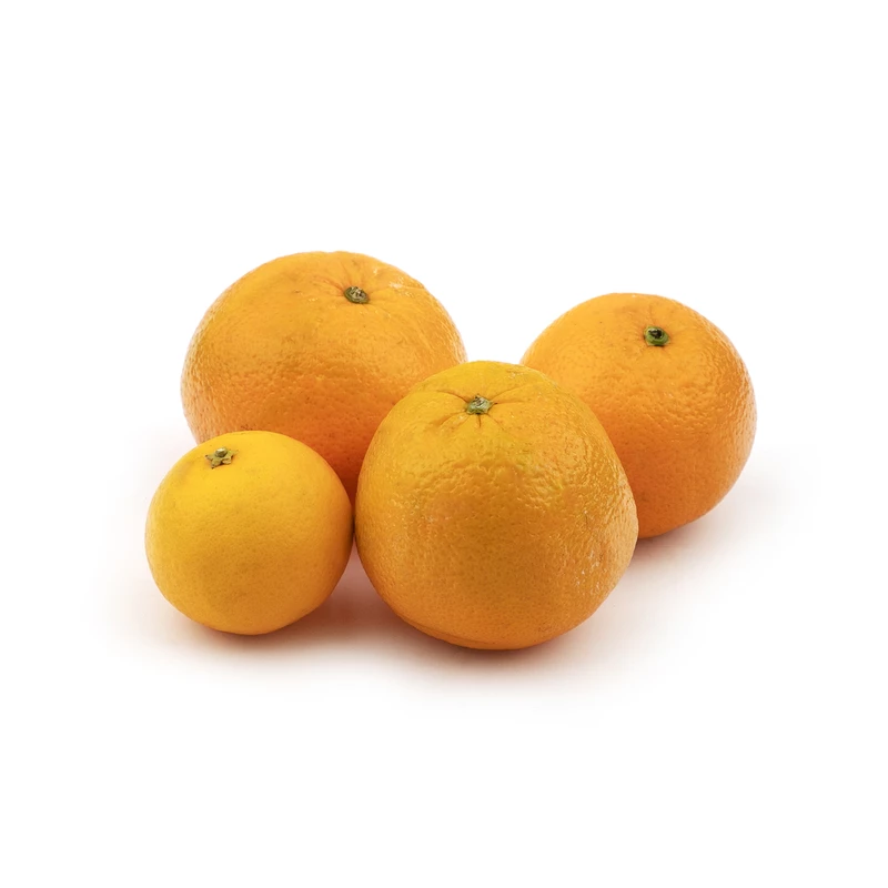 قیمت و خرید پرتقال تامسون شمال Fresh وزن 1 کیلوگرم