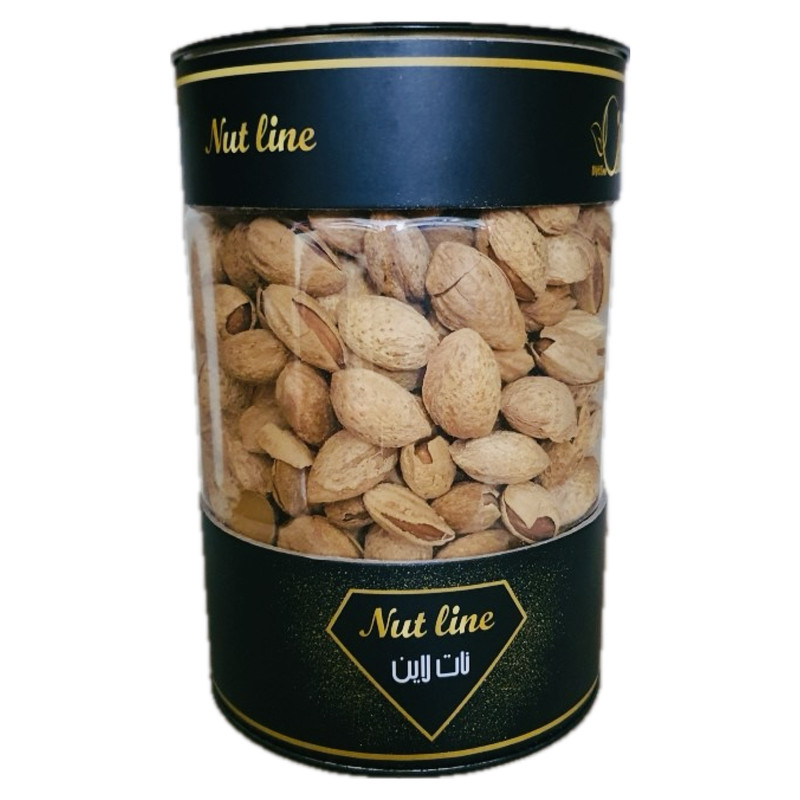 قیمت و خرید بادام پوست کاغذی منقا ایرانی نات لاین - 410 گرم
