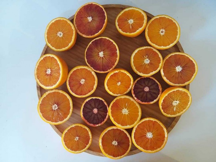 خرید و قیمت پرتقال توسرخ و تامسون عمده تنکابن مازندران موج سلیمان نژاد |باسکول