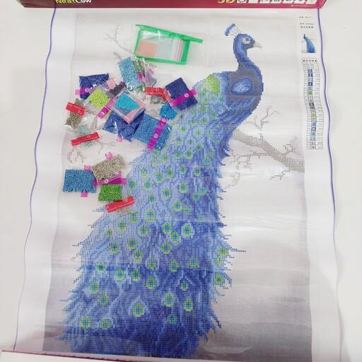 خرید و قیمت نقاشی باالماس طرح طاووس از غرفه تحریر شاپ