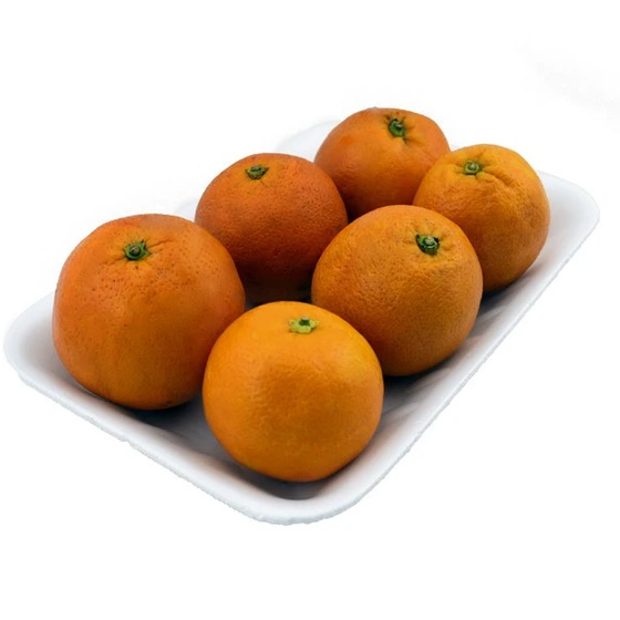 خرید و قیمت پرتقال شمال درجه یک - 1 کیلوگرم | ترب