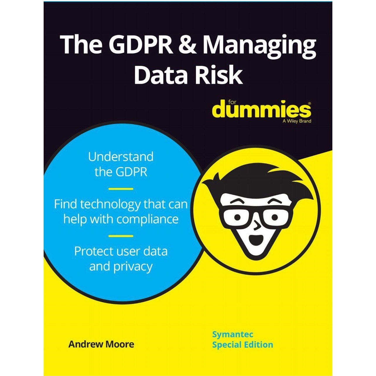 خرید و قیمت The GDPR Managing Data Risk For Dummies خرید کتاب زبان | ترب