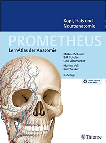 خرید کتاب PROMETHEUS Kopf, Hals und Neuroanatomie: LernAtlas Anatomie | باتخفیف مناسب - زبان شاپ
