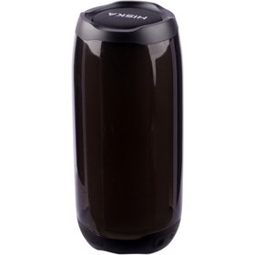 خرید و قیمت اسپیکر بلوتوثی قابل حمل هیسکا مدل B49 ا Speaker Bluetooth HiskaB49 | ترب