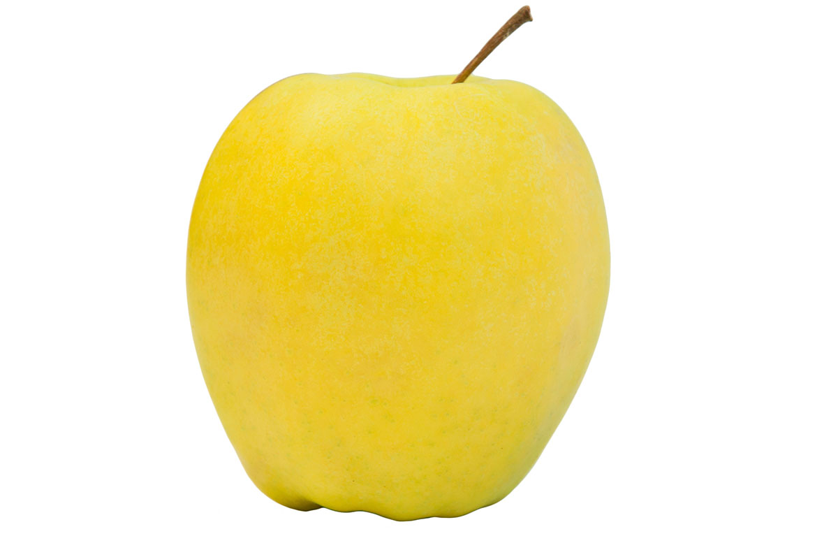 نهال سیب زرد فرانسوی: خرید + [قیمت و مشخصات کامل]