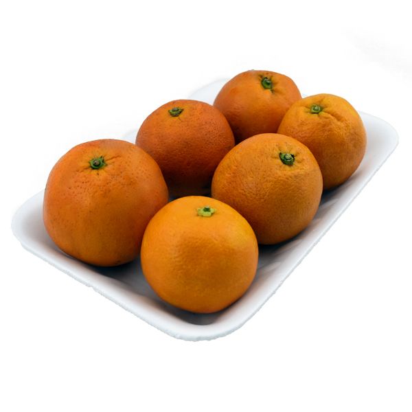 پرتقال شمال درجه یک - 1 کیلوگرم
