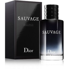 خرید و قیمت ادو تویلت مردانه دیور مدل ساواج (ساواژ) حجم 100 میل اصل ا DiorSauvage 100ML ORG | ترب