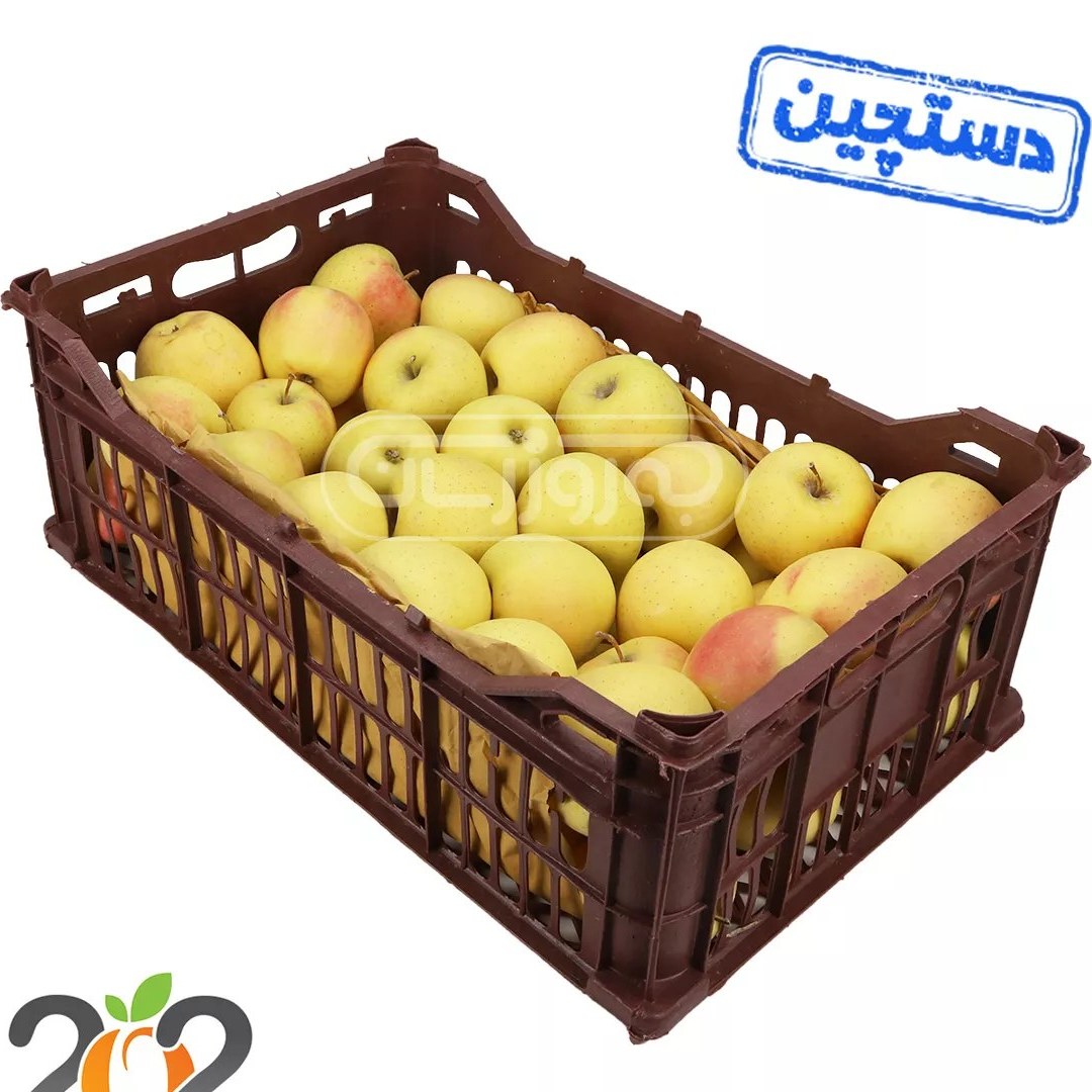 خرید و قیمت سیب زرد دستچین سبدی برند 202 وزن حدود 7 تا 8 کیلوگرم | ترب