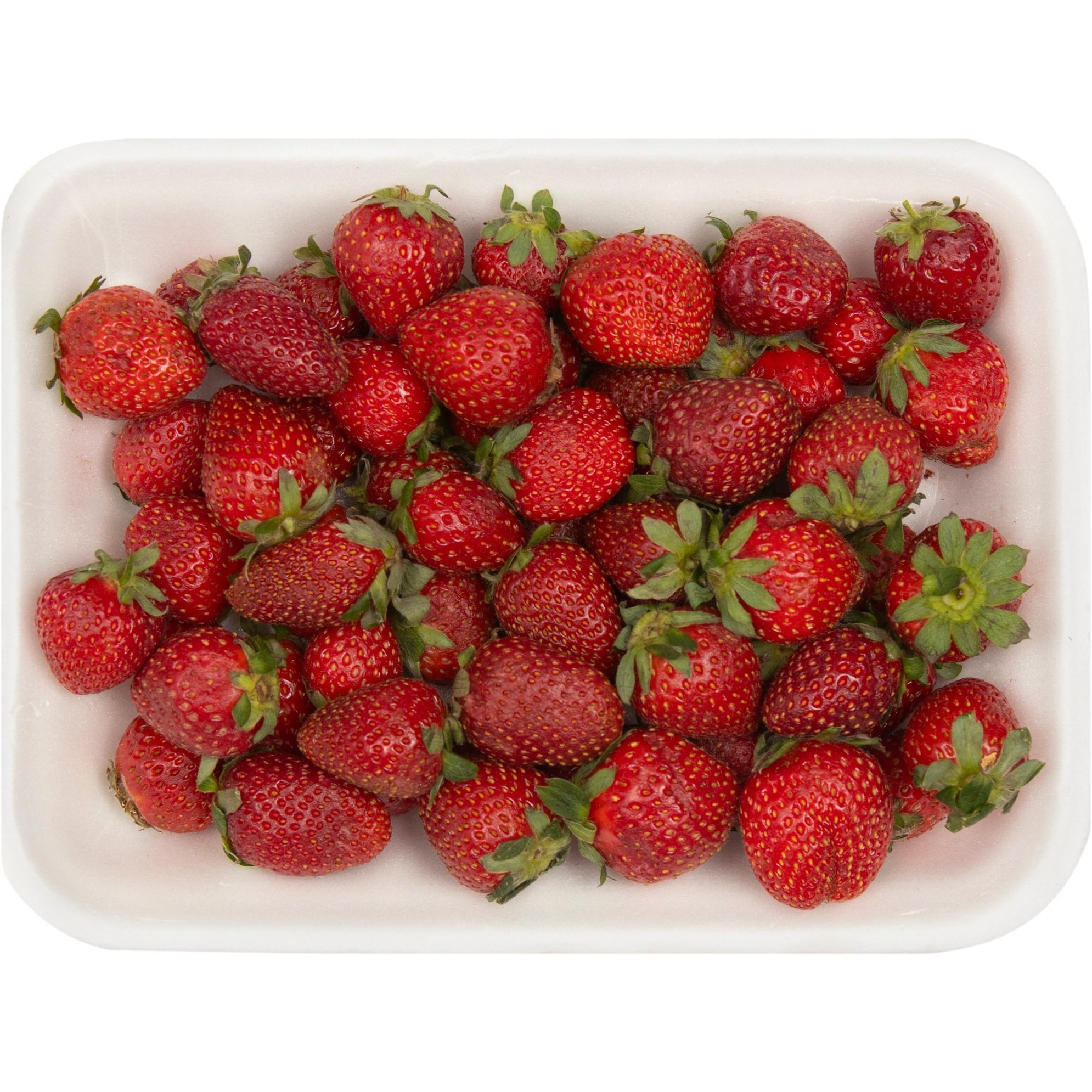 خرید و قیمت توت فرنگی درجه یک بسته 500 گرمی ا - | ترب