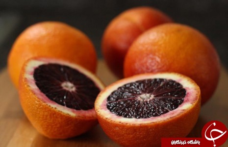 حقایقی شگفت انگیز از یک پرتقال توسرخ به نام پرتقال خونی! / چرا پرتقال خونی،خونین