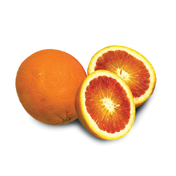 پرتقال توسرخ جنوب ( کوهستان ) – فروشگاه اینترنتی میوه دات کام