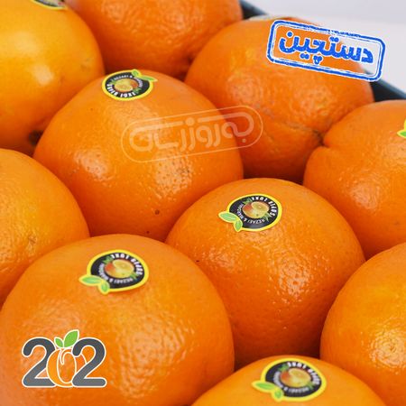 پرتقال تامسون شمال دستچین سبدی برند 202 حدود 2.5 تا 3.5 کیلوگرم ( قیمت ،خرید آنلاین ) - بازار آنلاین به‌روز مارت