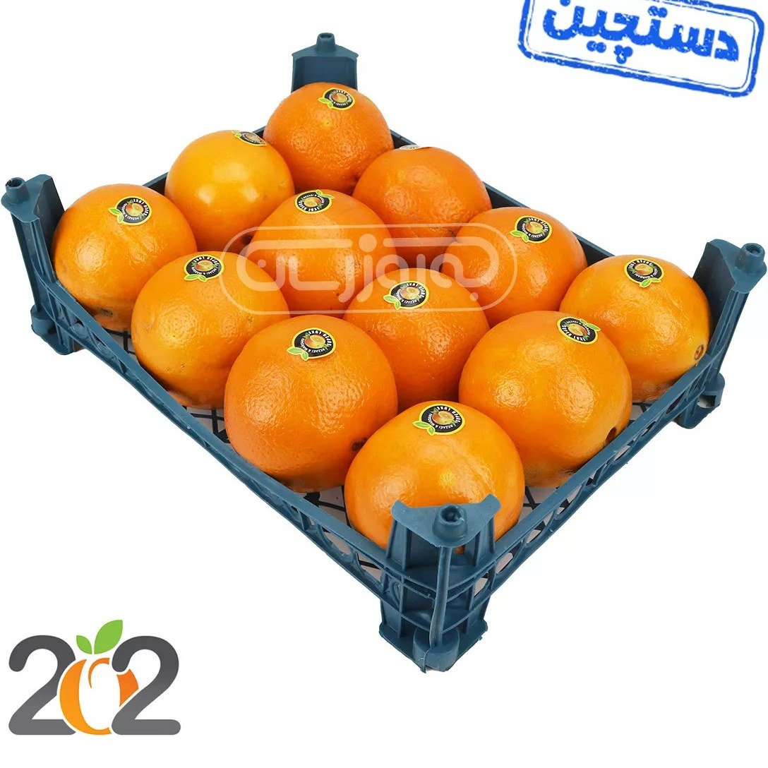خرید و قیمت پرتقال تامسون شمال دستچین سبدی برند 202 حدود 2.5 تا 3.5 کیلوگرم| ترب