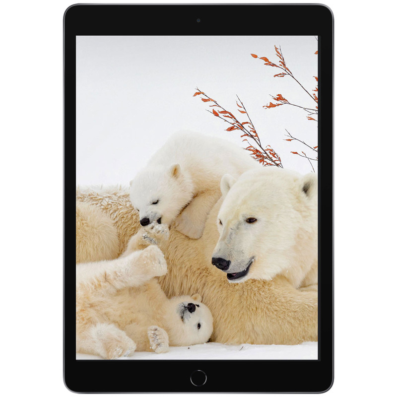 قیمت و خرید تبلت اپل مدل iPad (9th Generation) 10.2-Inch Wi-Fi (2021) ظرفیت64 گیگابایت