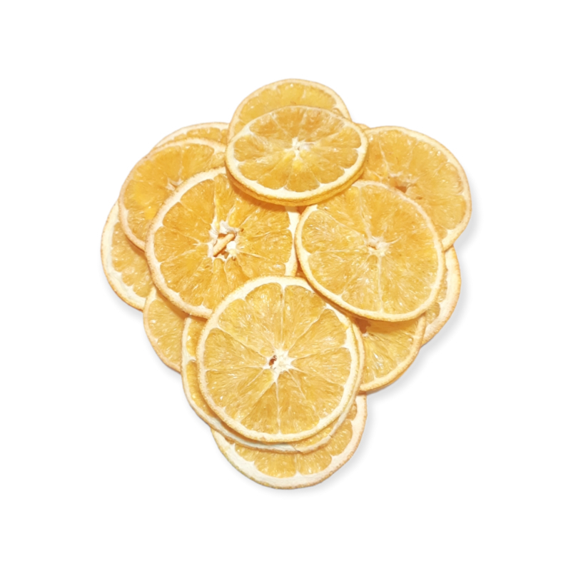 میوه خشک پرتقال تامسون اسلایس lوجیسنک l قیمت عمده و خرده فروشی