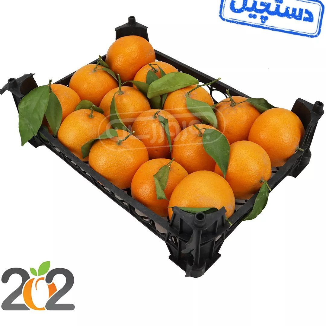 خرید و قیمت نارنگی پاکستانی دستچین سبدی برند 202 حدود 1.5 تا 2.5 کیلوگرم |ترب