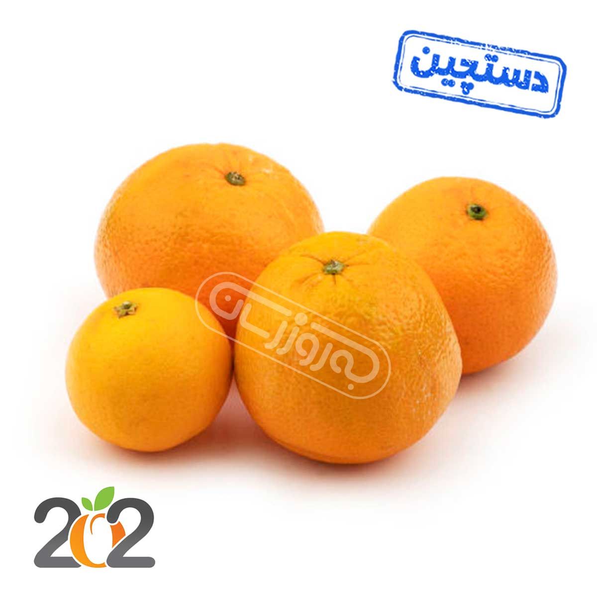 پرتقال تامسون شمال دستچین برند 202 ( قیمت ، خرید آنلاین ) - بازار آنلاینبه‌روز مارت