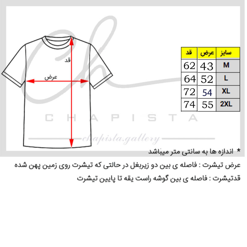 قیمت و خرید تی شرت زنانه مدل Z کد J79 رنگ طوسی